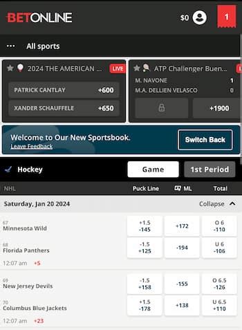 10 Best NHL Betting Sites and Apps USA (2024) .